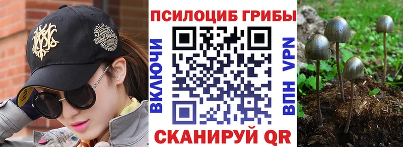 Галлюциногенные грибы мицелий  Купить где  Жиздра 